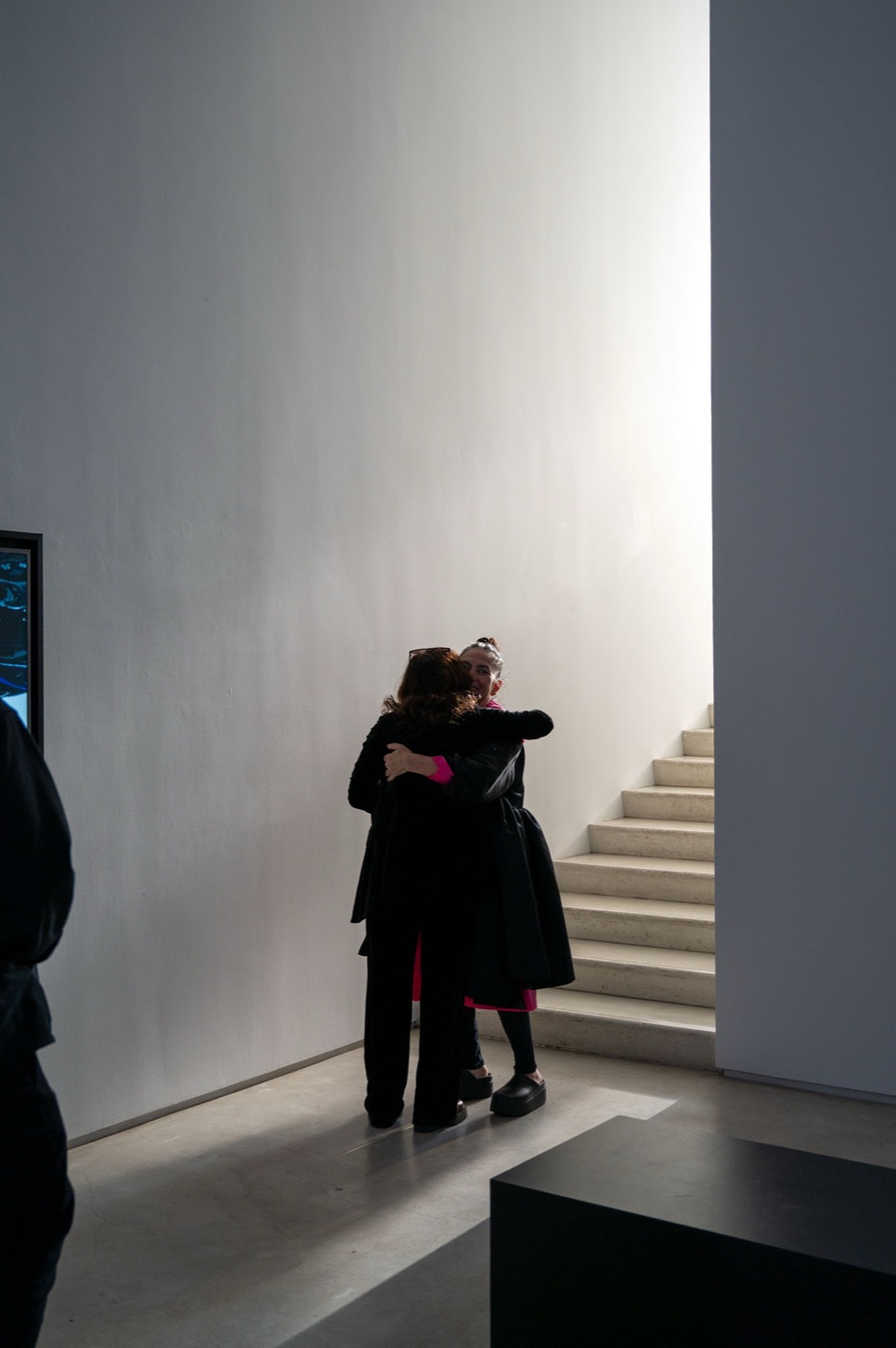 Anna Condo: Color Code — opening night 4