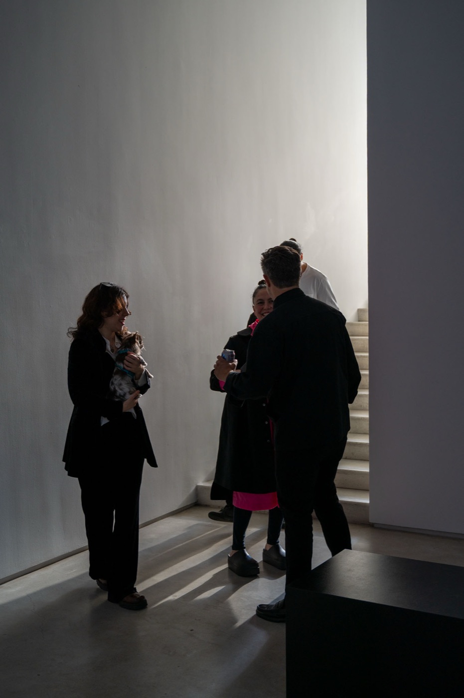 Anna Condo: Color Code — opening night 7