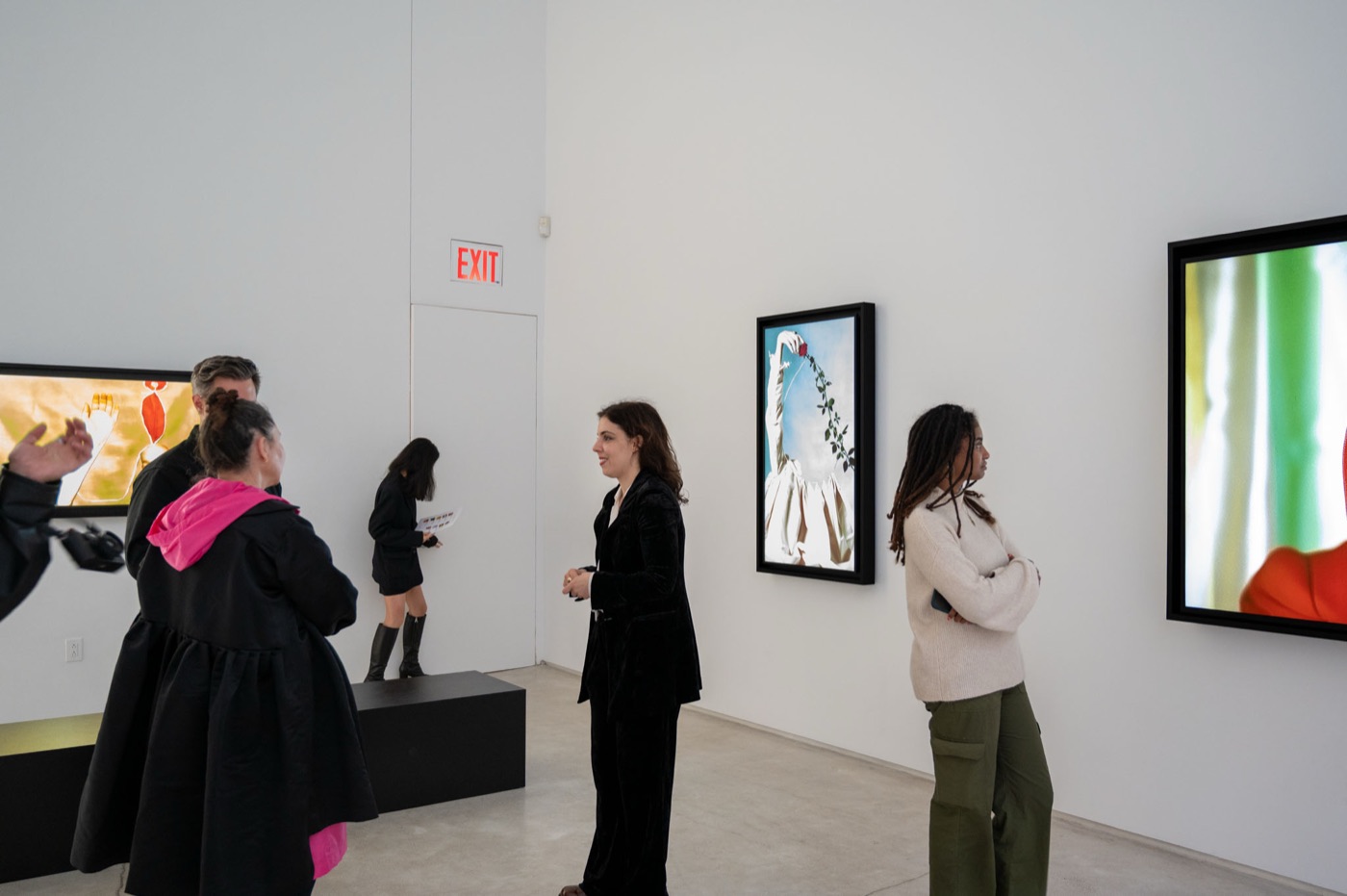 Anna Condo: Color Code — opening night 12