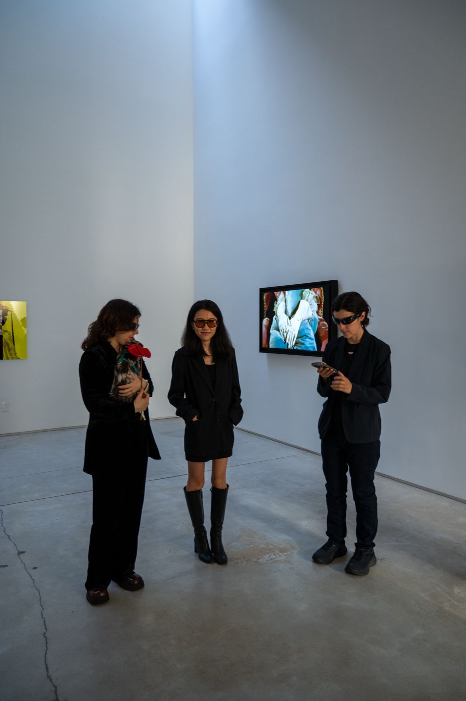 Anna Condo: Color Code — installation view 1