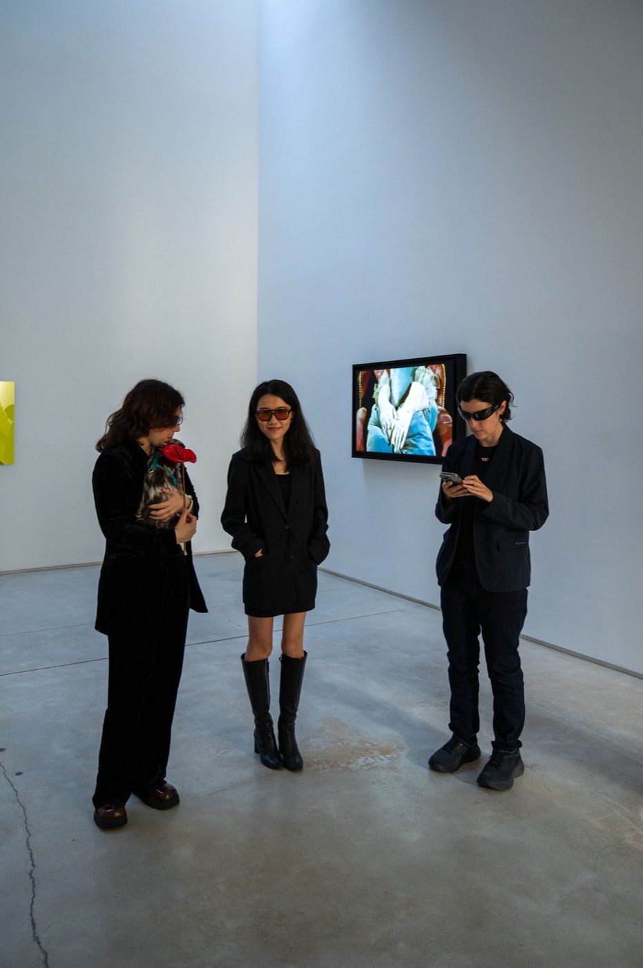 Anna Condo: Color Code — installation view 2