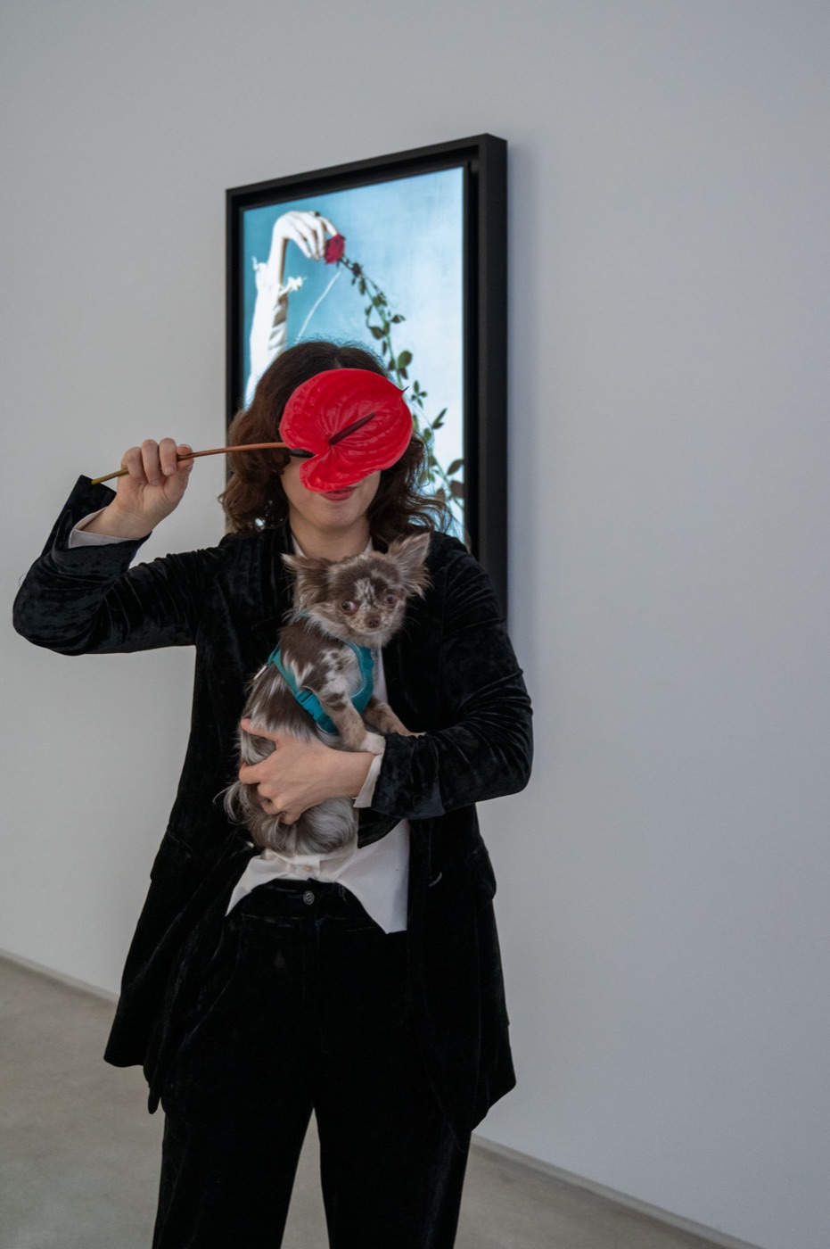 Anna Condo: Color Code — installation view 4