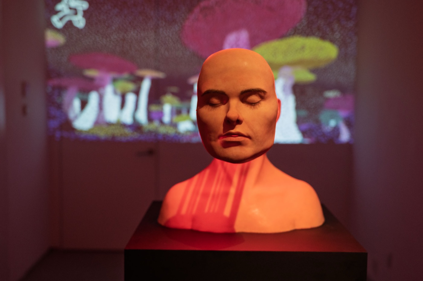 Cem Hasimi: Never Arrive — opening night 15