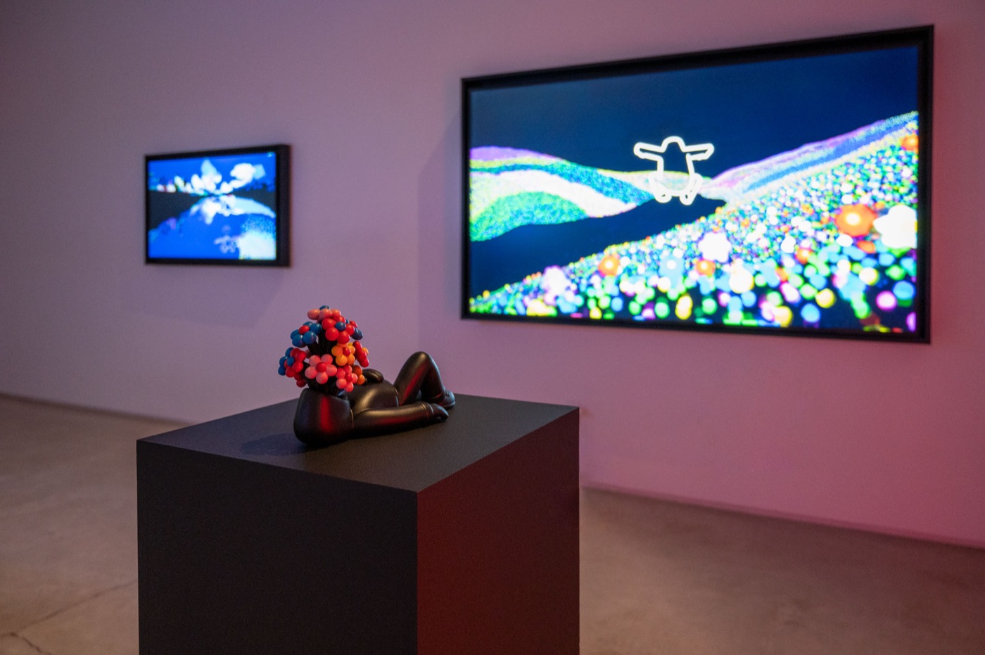Cem Hasimi: Never Arrive — installation view 2