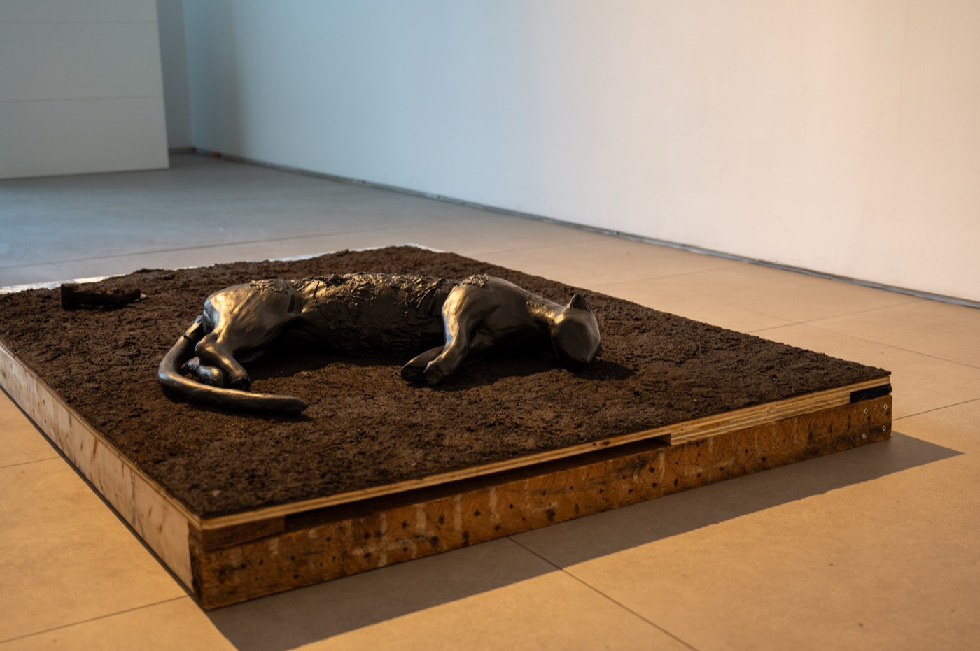 New Skin for the Old Ceremony — installation view 6